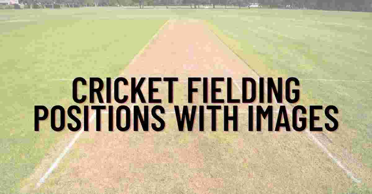 Cricket Fielding Positions With Images